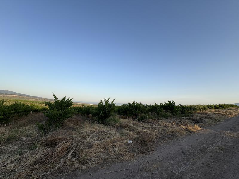 MANİSA SARUHANLI'DA 26.895 M2 SATILIK TARLA (101196446)